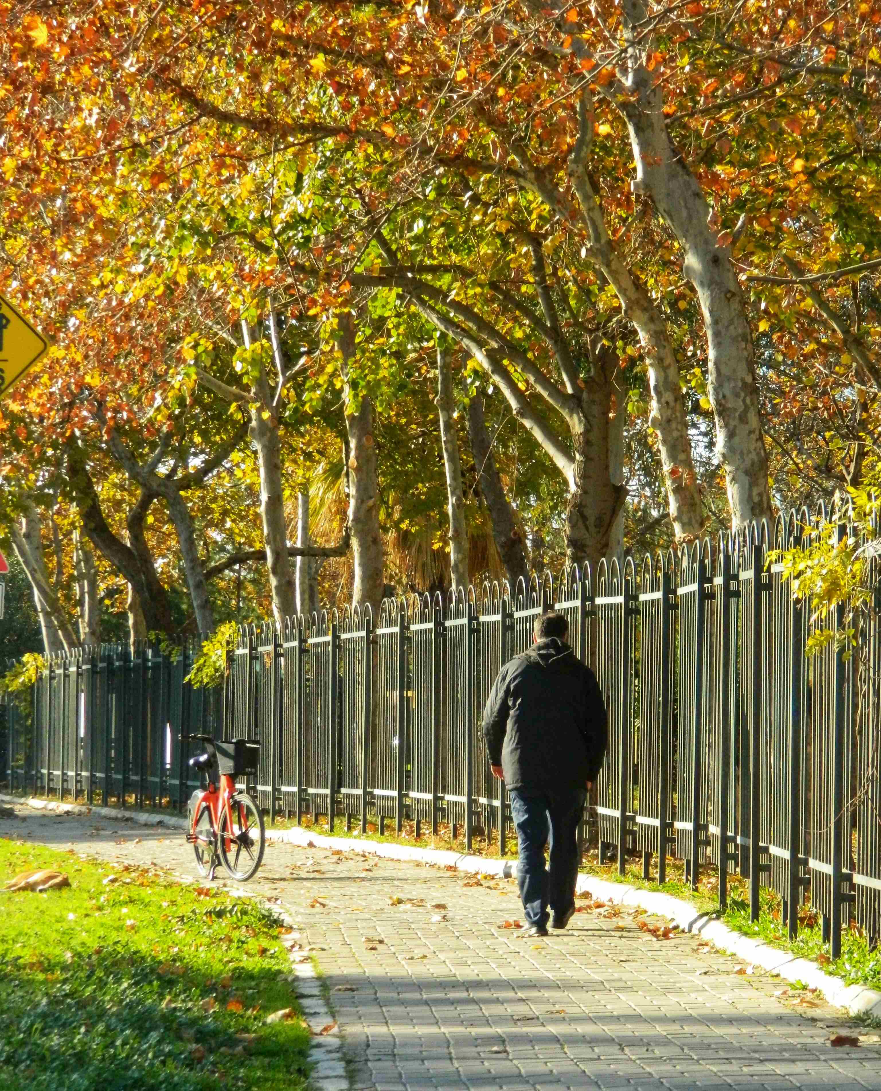 Off-season walks near The Loft